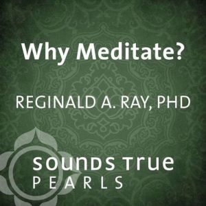 Why Meditate?, Reginald A. Ray, PhD