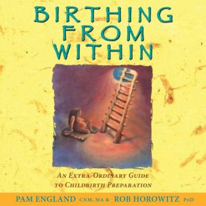 Birthing from Within, Pam England