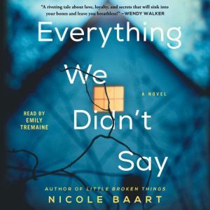 Everything We Didnt Say, Nicole Baart