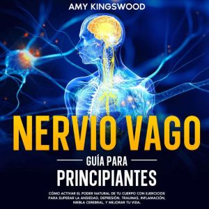 Nervio vago: Guia para principiantes