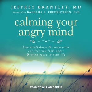 Calming Your Angry Mind, MD Brantley