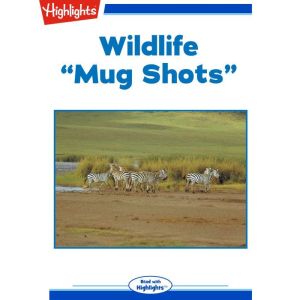 Wildlife Mug Shots, Lory Frame