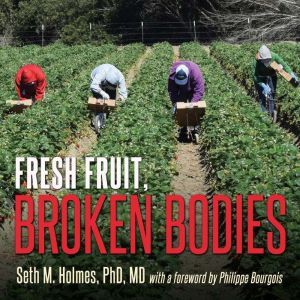 Fresh Fruit, Broken Bodies Migrant Farmworkers in the United States, Seth Holmes