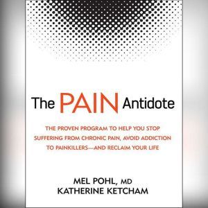 The Pain Antidote, Katherine Ketcham