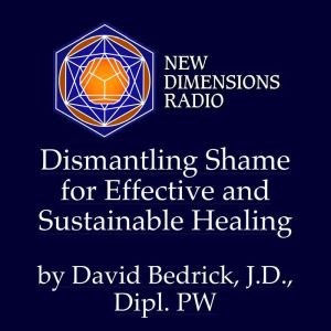 Dismantling Shame for Effective and S..., David Bedrick, J.D. Dipl. PWJ.D., Dipl. PW