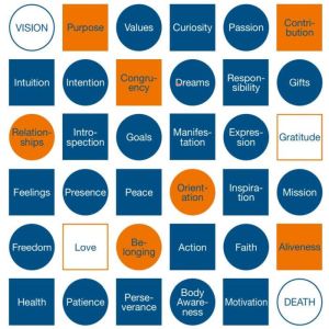 Ingredients for a Fulfilling Life, Lukas Stahli
