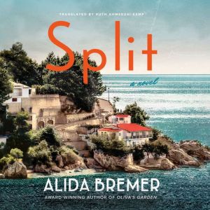 Split: A Novel