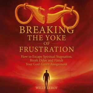 Breaking the Yoke of Frustration, Willy Leroy
