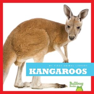 Kangaroos