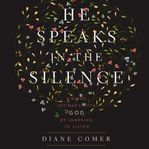 He Speaks in the Silence, Diane Comer
