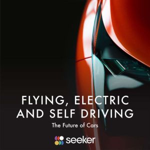 Flying, Electric and Self Driving, Seeker
