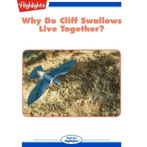 Why Do Cliff Swallows Live Together?, Jack Myers Ph.D.