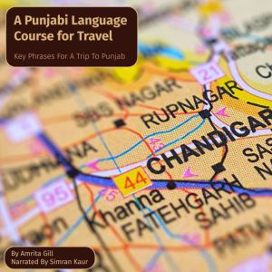 A Punjabi Language Course for Travel: Key Phrases for a Trip to Punjab
