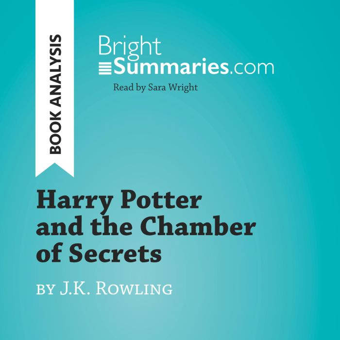Harry Potter and the Chamber of Secre..., Bright Summaries