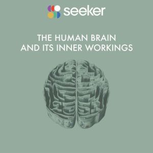 The Human Brain and its Inner Working..., Seeker