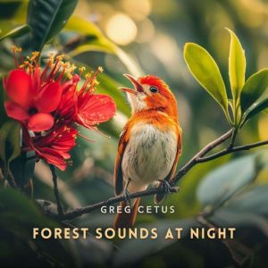 Forest Sounds at Night, Greg Cetus