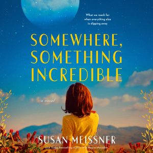 Somewhere, Something Incredible, Susan Meissner
