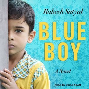 Blue Boy, Rakesh Satyal