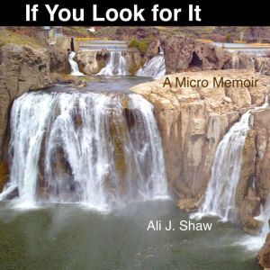 If You Look for It A Micro Memoir, Ali J. Shaw