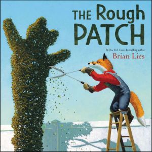 The Rough Patch, Brian Lies