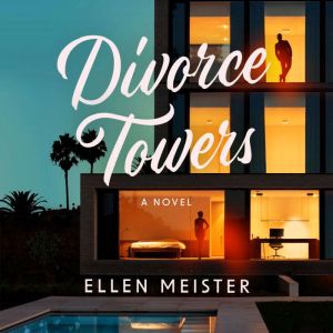 Divorce Towers: A Novel