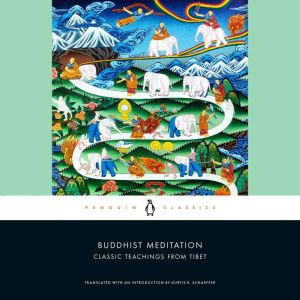 Buddhist Meditation, Kurtis R. Schaeffer