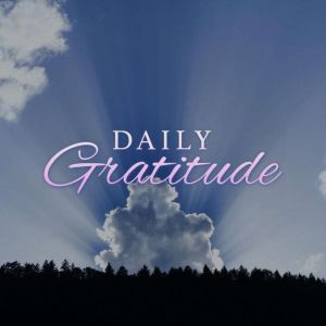 Daily Gratitude, Angie Caneva