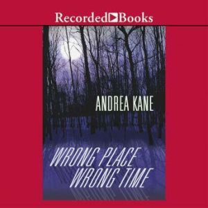 Wrong Place, Wrong Time, Andrea Kane