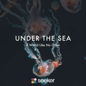Under the Sea, Seeker