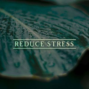 Reduce Stress, Julie McQueen