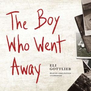 The Boy Who Went Away, Eli Gottlieb