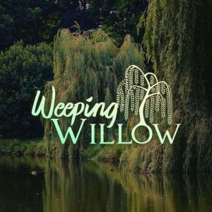 Weeping Willow, Angie Caneva