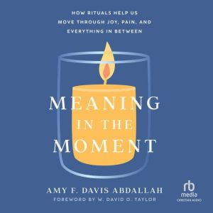 Meaning in the Moment, Amy F. Davis Abdallah