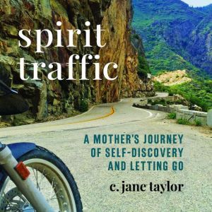 Spirit Traffic, C. Jane Taylor