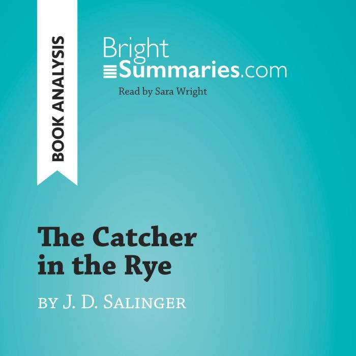 The Catcher in the Rye by J. D. Salin..., Bright Summaries