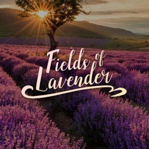 Fields of Lavender, Angie Caneva