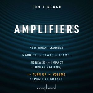 Amplifiers, Tom Finegan
