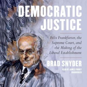 Democratic Justice, Brad Snyder
