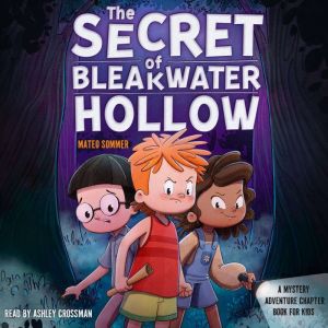 The Secret of Bleakwater Hollow, Mateo Sommer