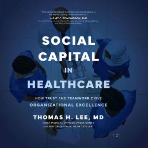Social Capital in Healthcare: How Trust and Teamwork Drive Organizational Excellence