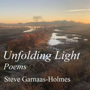 Unfolding Light: Poems