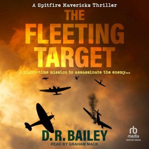 The Fleeting Target: A night-time mission to assassinate the enemy