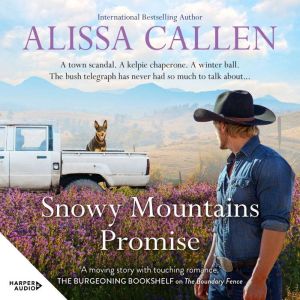 Snowy Mountains Promise (A Bundilla Novel #3): A delightful, charming small-town story about love and healing from a bestselli