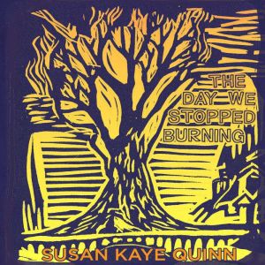 The Day We Stopped Burning, Susan Kaye Quinn