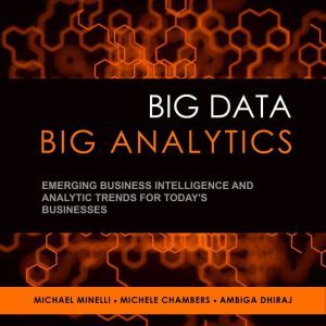 Big Data, Big Analytics, Michele Chambers