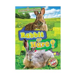Rabbit or Hare?, Christina Leaf