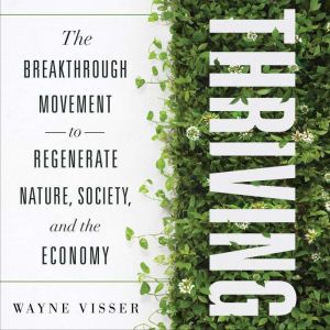 Thriving, Wayne Visser