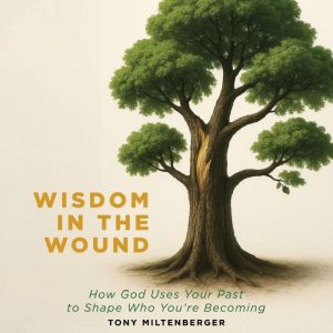 Wisdom in the Wound: How God Uses Your Past to Shape Who You're Becoming
