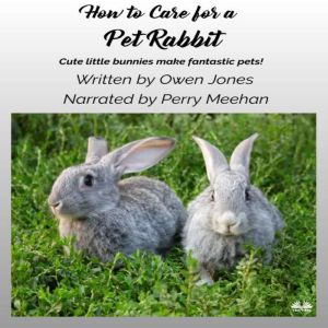How To Care For A Pet Rabbit, Owen Jones