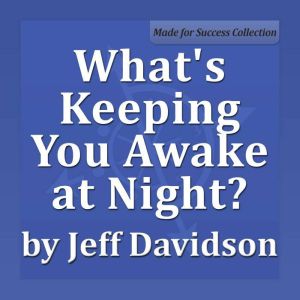 What's Keeping You Awake at Night?: Keeping Your Career in Perspective, Jeff Davidson